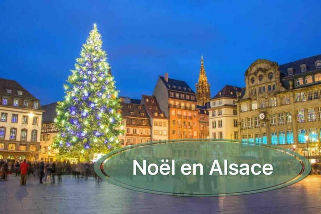 Gite Classe 4 Etoiles  La Maison Du Tonnelier Oberbronn ภายนอก รูปภาพ