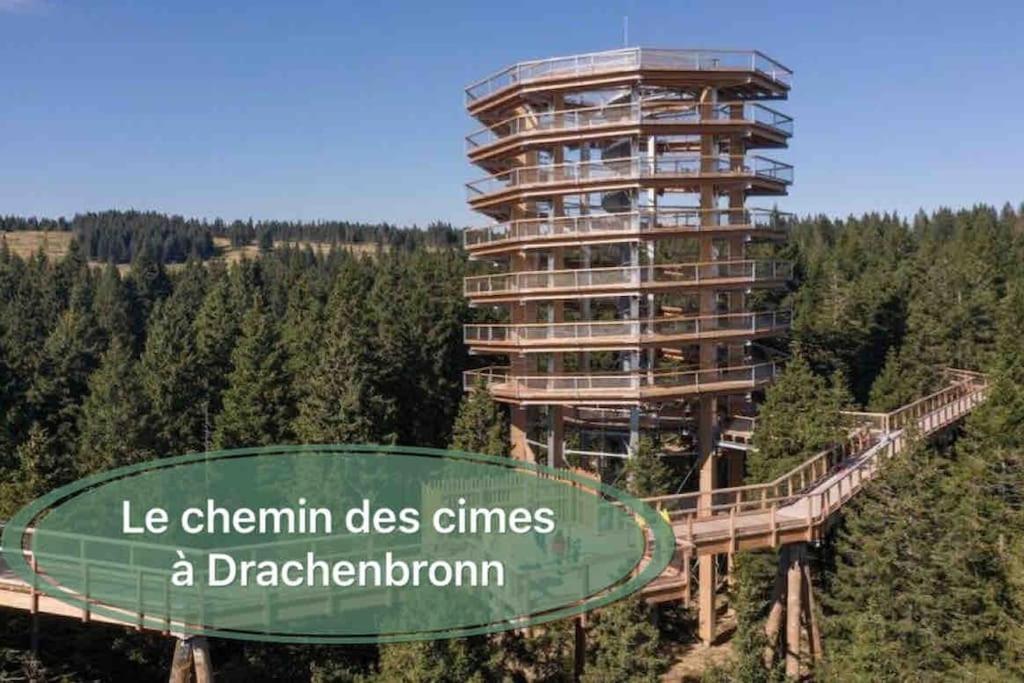 Gite Classe 4 Etoiles  La Maison Du Tonnelier Oberbronn ภายนอก รูปภาพ