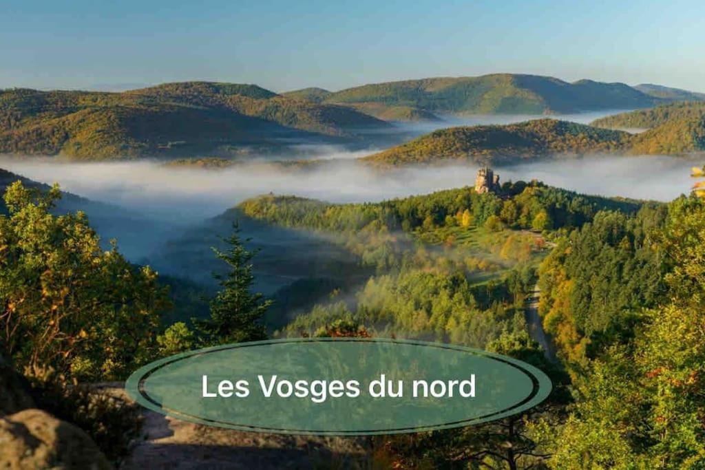 Gite Classe 4 Etoiles  La Maison Du Tonnelier Oberbronn ภายนอก รูปภาพ